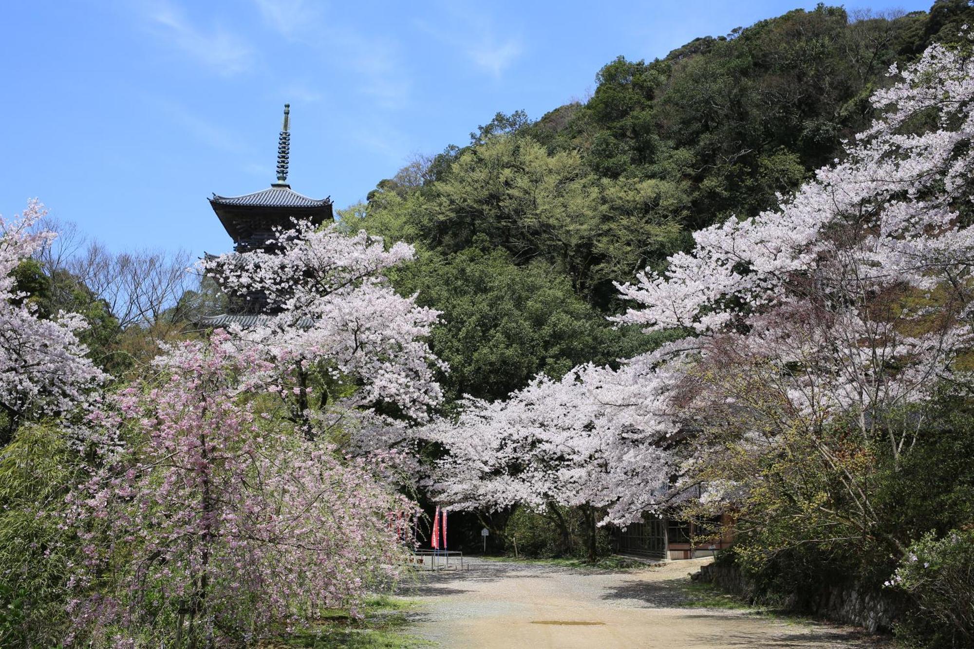 境内の宿　紅葉館 安来市 エクステリア 写真